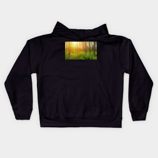 Green forest panorama and shining sun Kids Hoodie